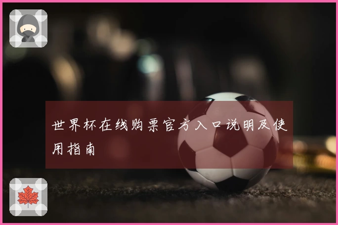 世界杯在线购票官方入口说明及使用指南