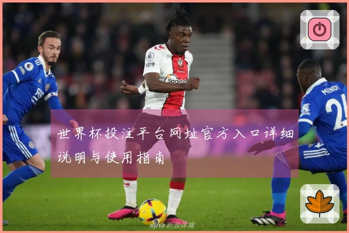 世界杯投注平台网址官方入口详细说明与使用指南
