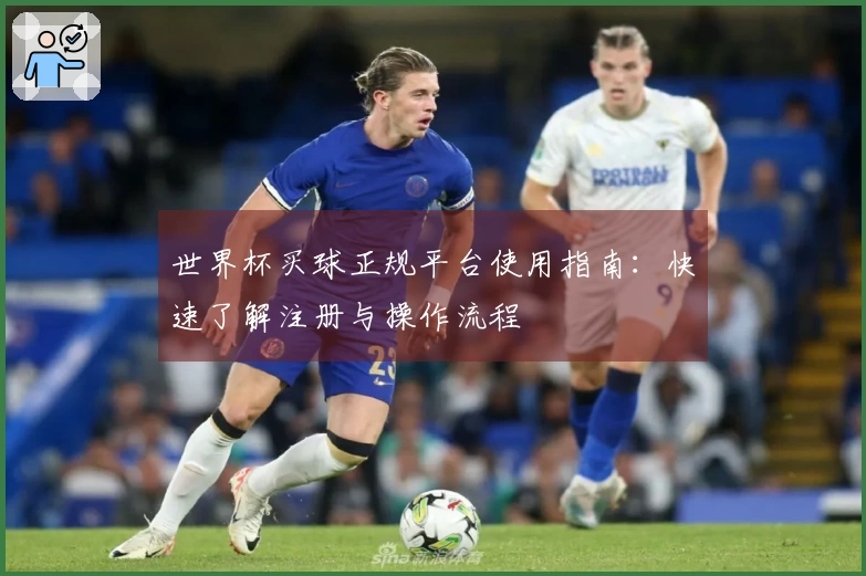 世界杯买球正规平台使用指南：快速了解注册与操作流程