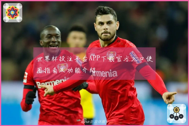 世界杯投注平台APP下载官方入口使用指南及功能介绍