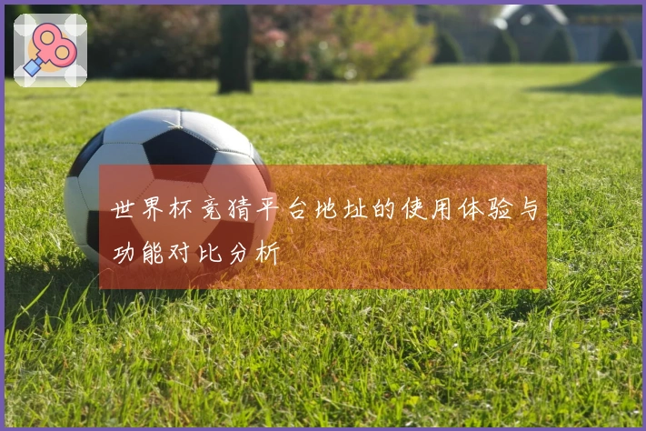 世界杯竞猜平台地址的使用体验与功能对比分析
