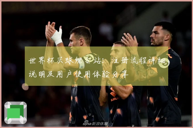 世界杯买球综合站：注册流程详细说明及用户使用体验分享