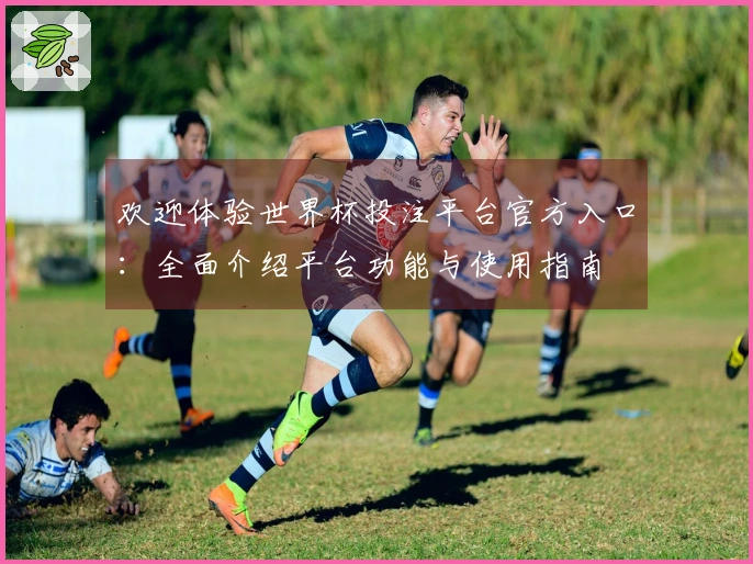 欢迎体验世界杯投注平台官方入口：全面介绍平台功能与使用指南