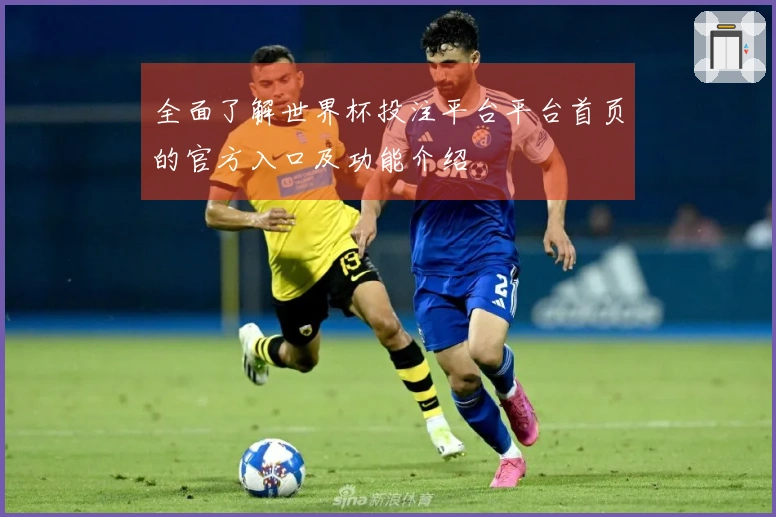 全面了解世界杯投注平台平台首页的官方入口及功能介绍