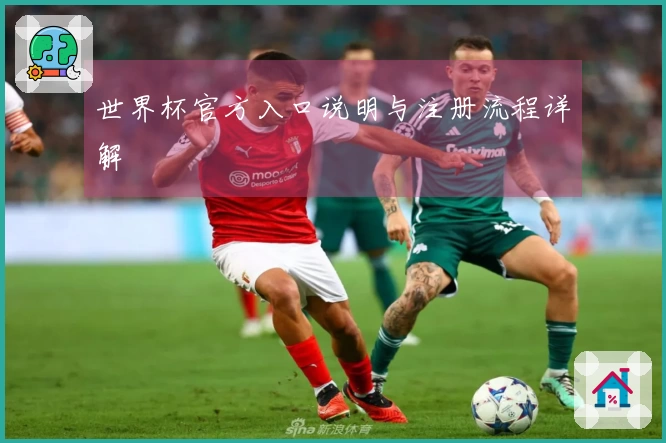 世界杯官方入口说明与注册流程详解