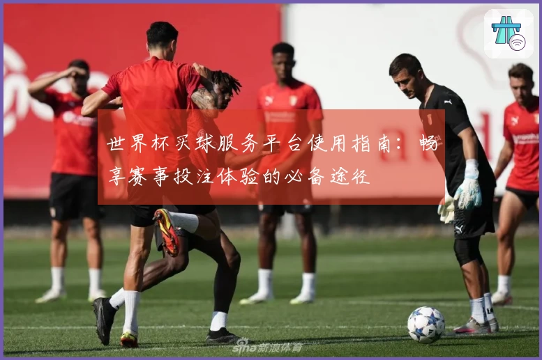 世界杯买球服务平台使用指南：畅享赛事投注体验的必备途径