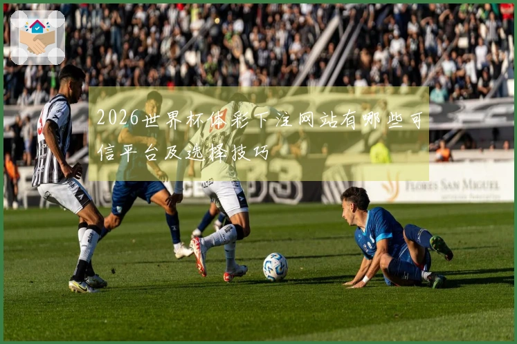 2026世界杯体彩下注网站有哪些可信平台及选择技巧