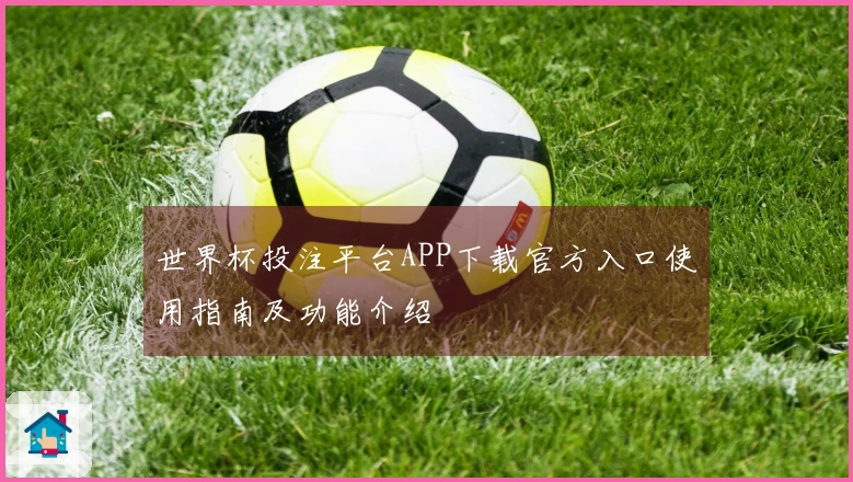世界杯投注平台APP下载官方入口使用指南及功能介绍