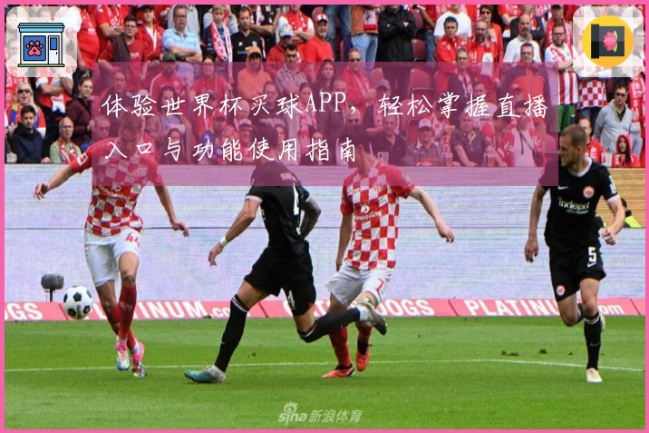 体验世界杯买球APP，轻松掌握直播入口与功能使用指南
