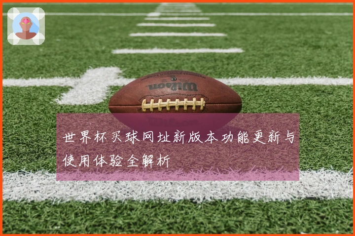 世界杯买球网址新版本功能更新与使用体验全解析