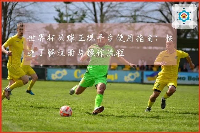 世界杯买球正规平台使用指南：快速了解注册与操作流程
